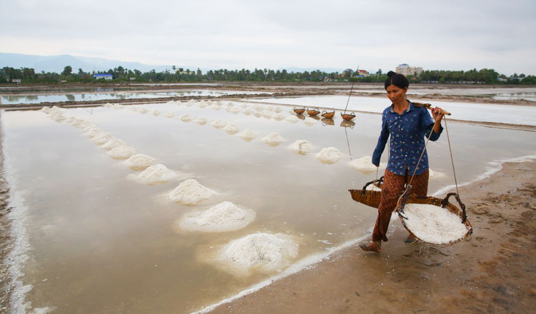 Worker-carries-salt.jpg