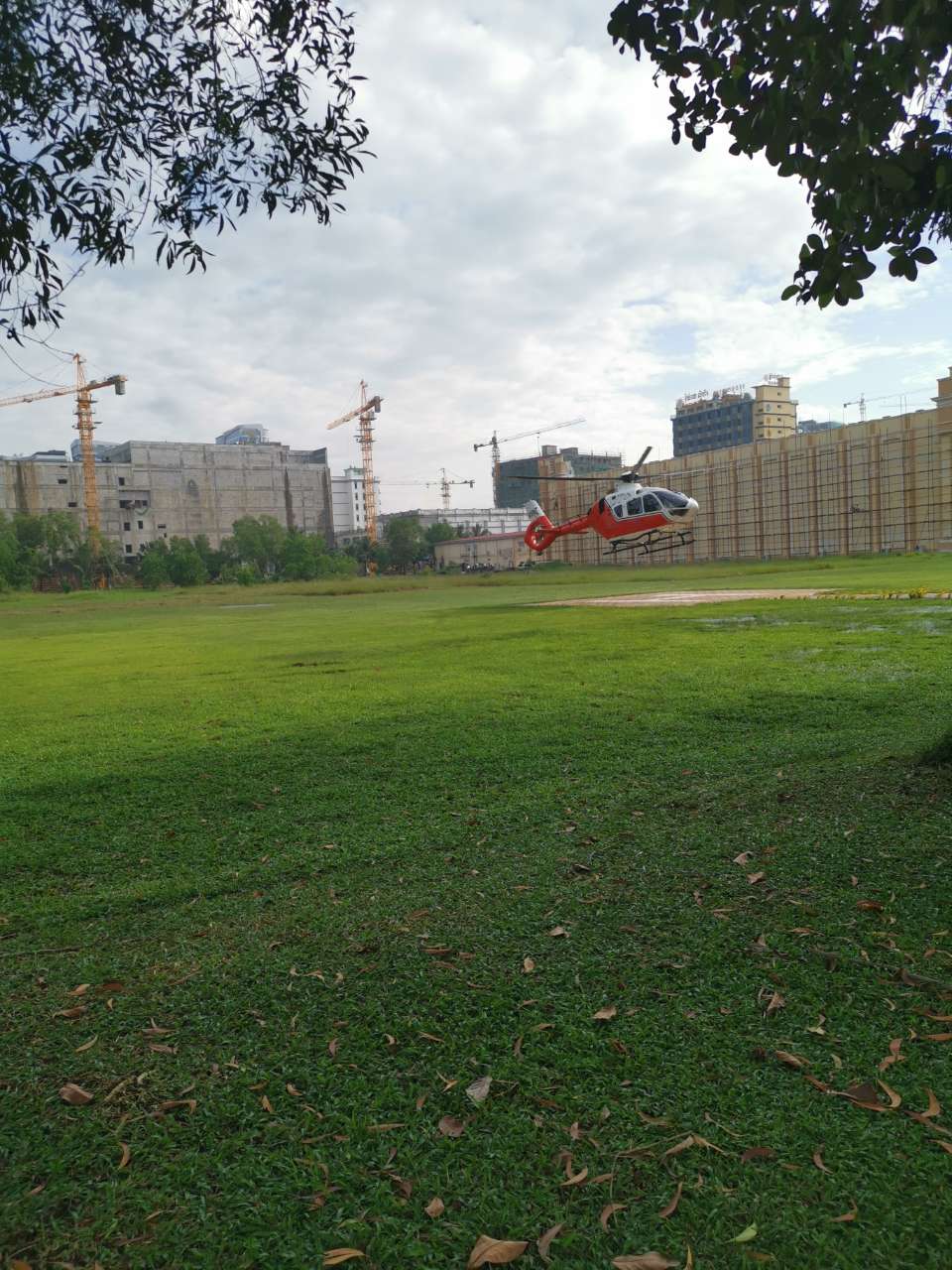 20200225_166238_1582588652693.jpg