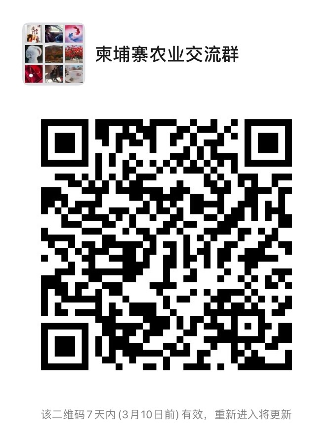 Fhsb27nsu1xSUl9rC75D-BiI6Jci.jpg