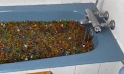 微信图片_20200304134628.gif