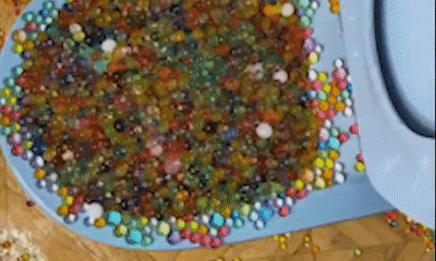 微信图片_20200304134631.gif