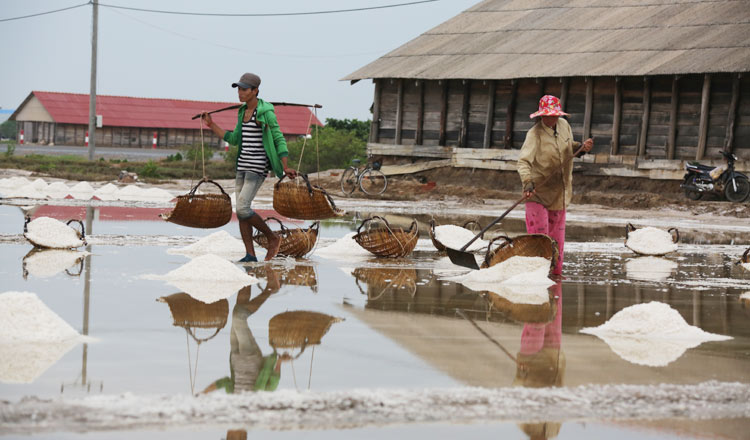 Worker-work-at-salt-farm-in-kampot-.jpg