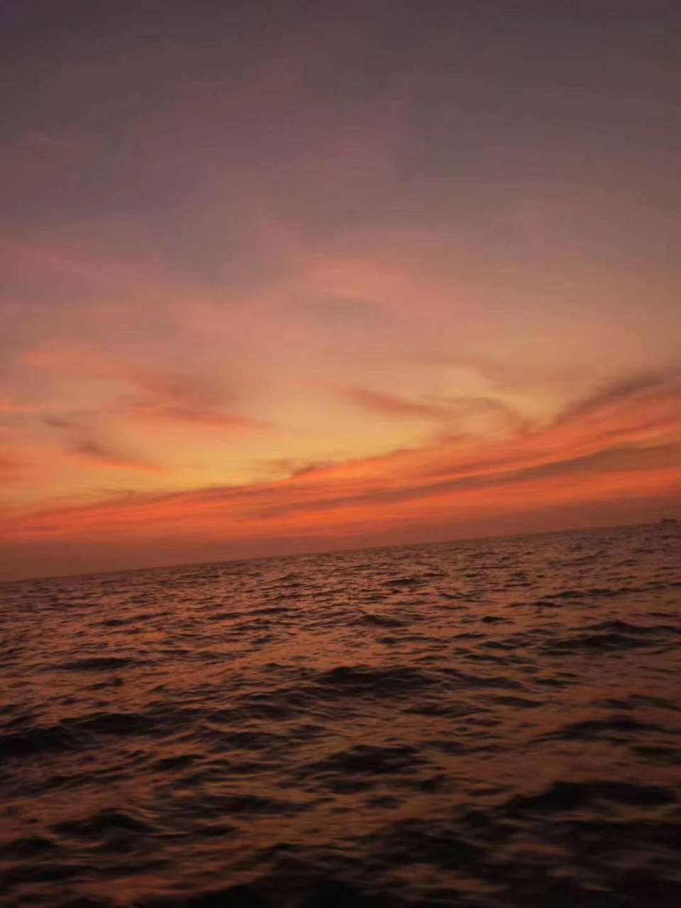 20200425_191926_1587814326450.jpg