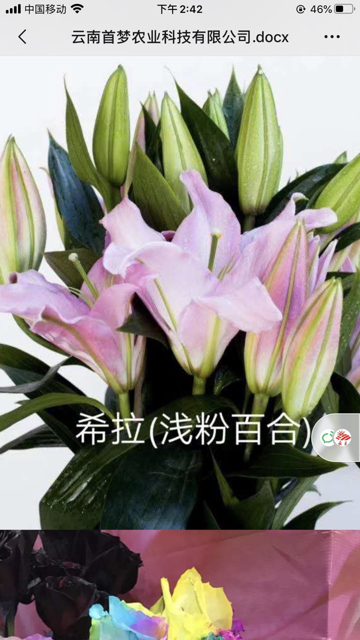 Fpdfw8gmW_qXcAM6YR11659TIGzm.jpg