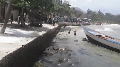 微信图片_20200509092922.gif