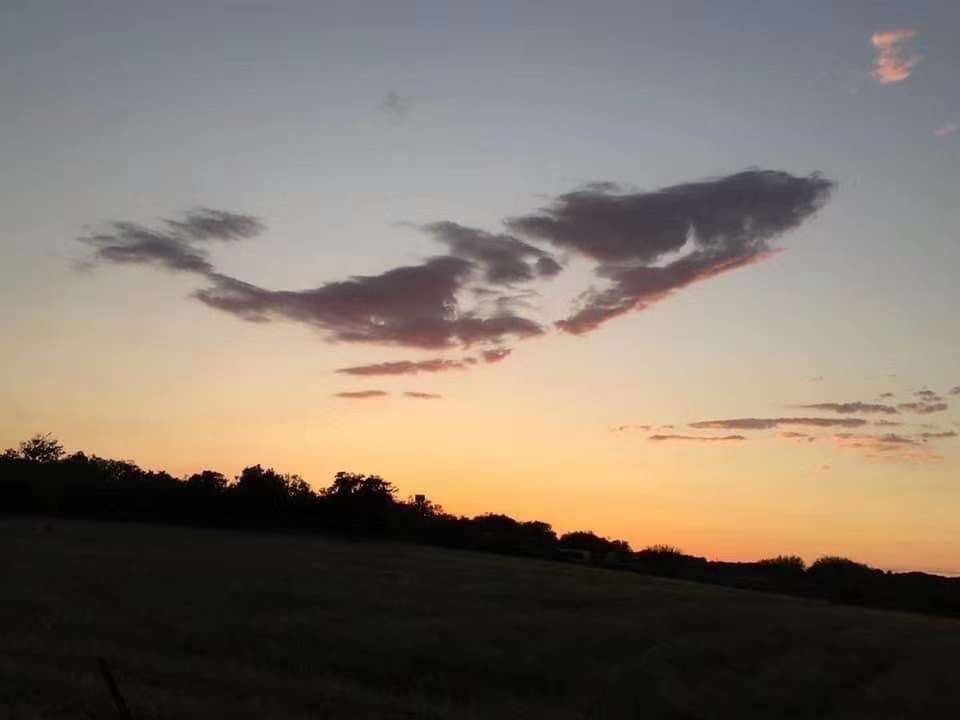 20200509_191750_1589020491211.jpg
