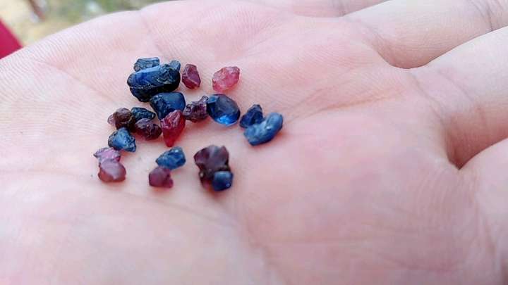 20200510_193679_1589115092136.jpg