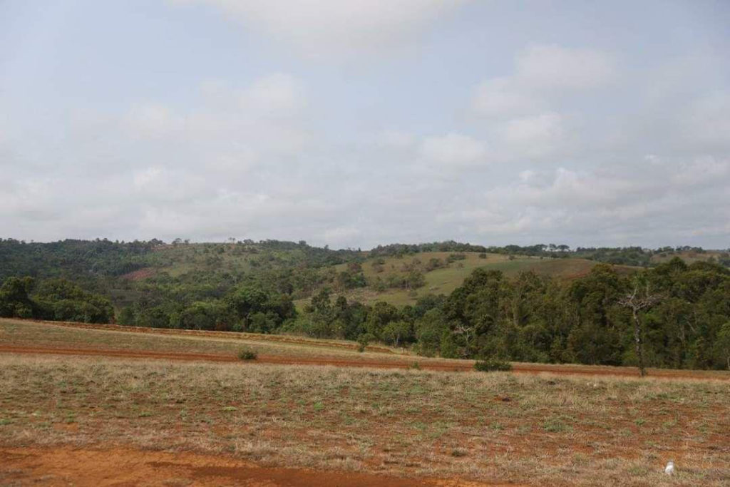341-1024x683-1.jpg
