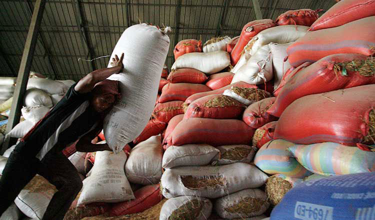 Cover-pix-Workers-transport-rice-in-a-warehouse-in-Kandal-province-on-the-outski.jpg
