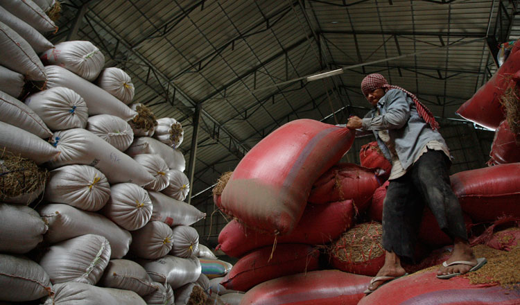 workers-prepeared-sack-of-rice-at-wherehouse-in-kamdal-province-Chor-2.jpg