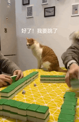 微信图片_20200515144027.gif