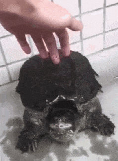 微信图片_20200515144046.gif