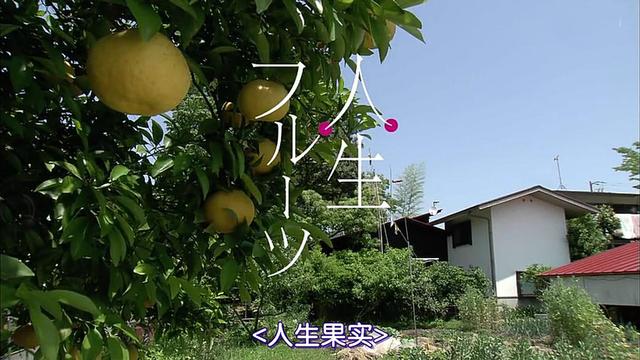 微信图片_20200521165524.jpg