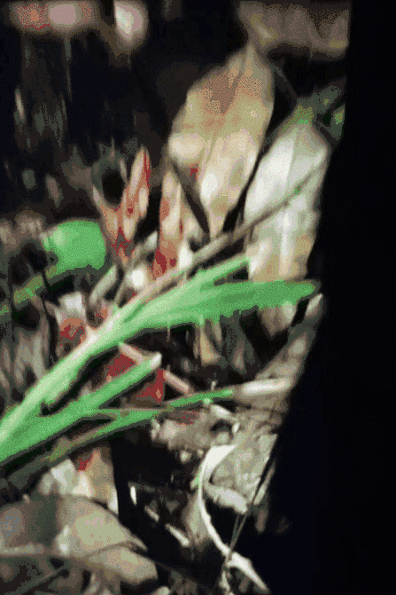 微信图片_20200608223434.gif
