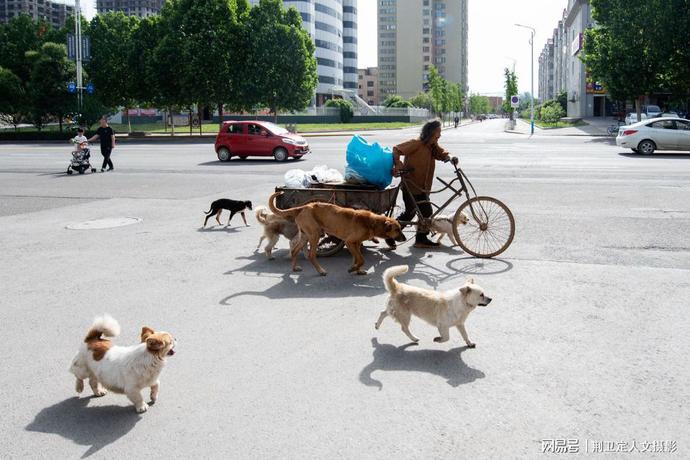 微信图片_20200617103231.jpg