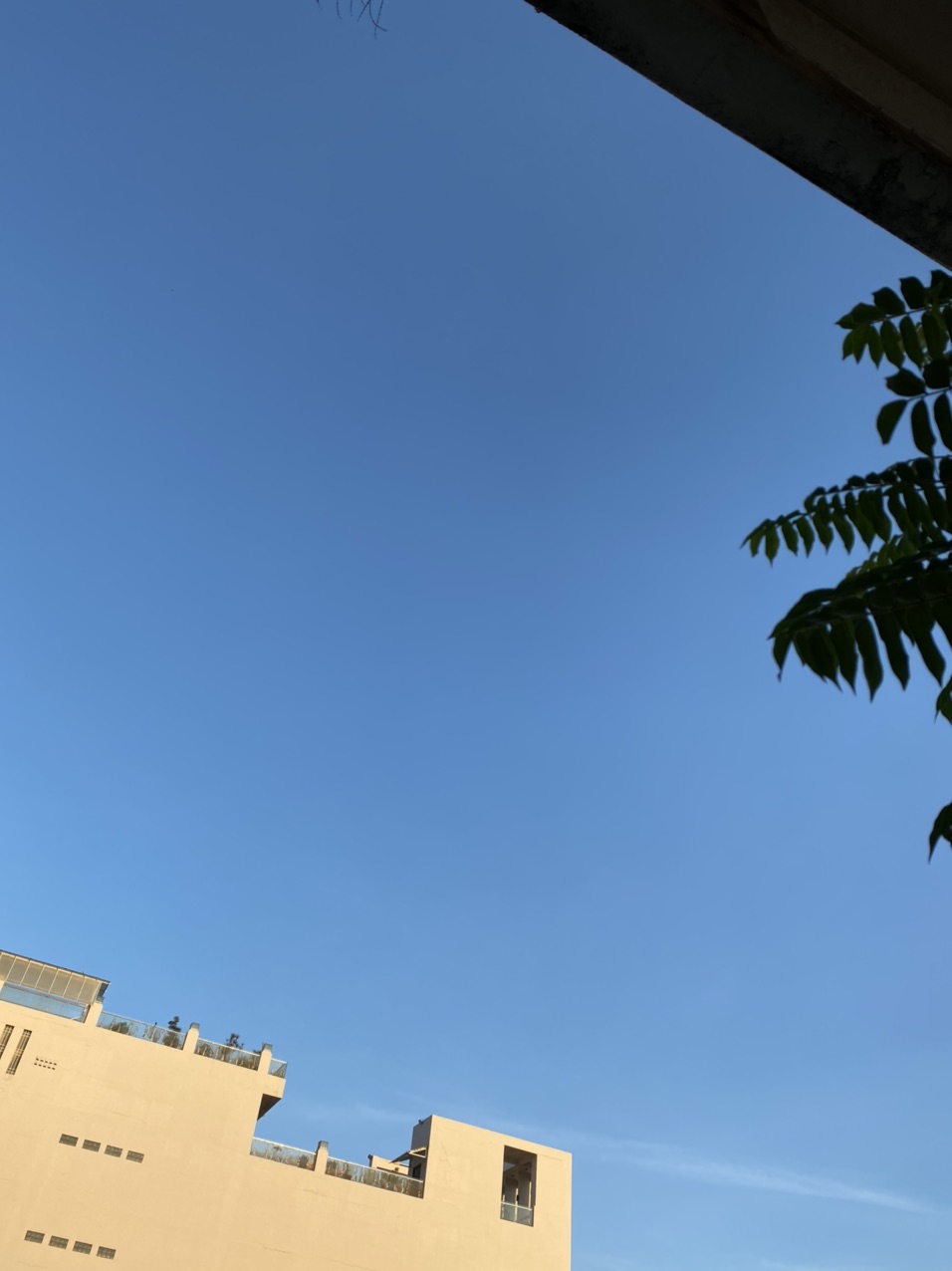 front1_FmeFWDD6bA6JNAdbFNalAZxVSjJY.jpg