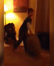 微信图片_20200626144714.gif