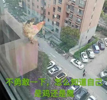 微信图片_20200626144819.jpg