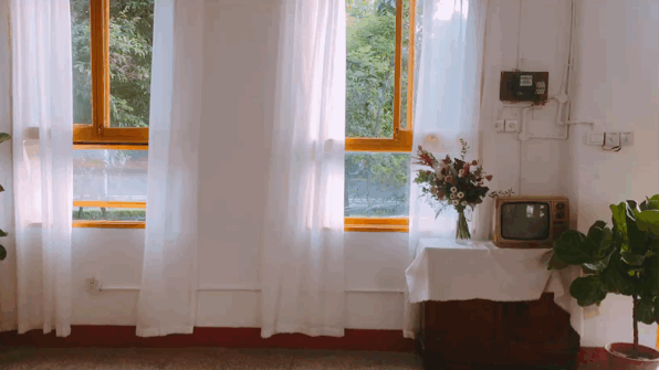 0.gif