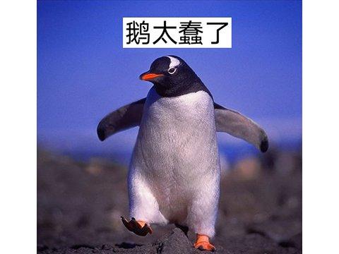 微信图片_20200702110418.jpg