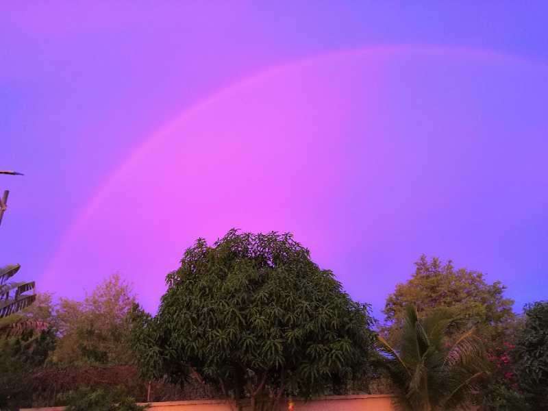 20200702_200581_1593703577432.jpg