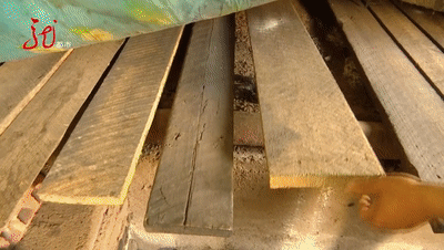 微信图片_20200705192030.gif
