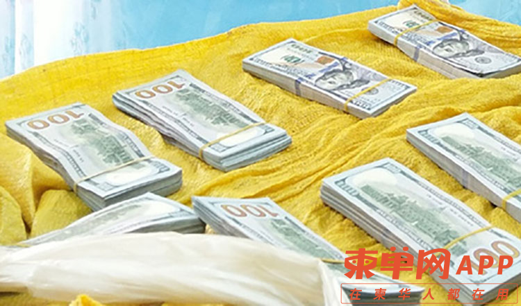 dollar-1612083973-002.jpg