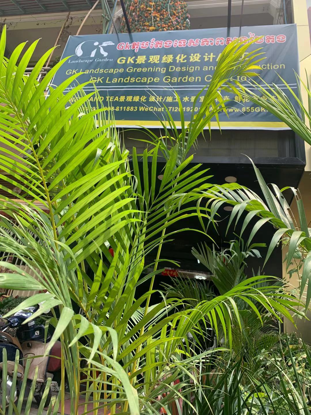 GK苗木基地