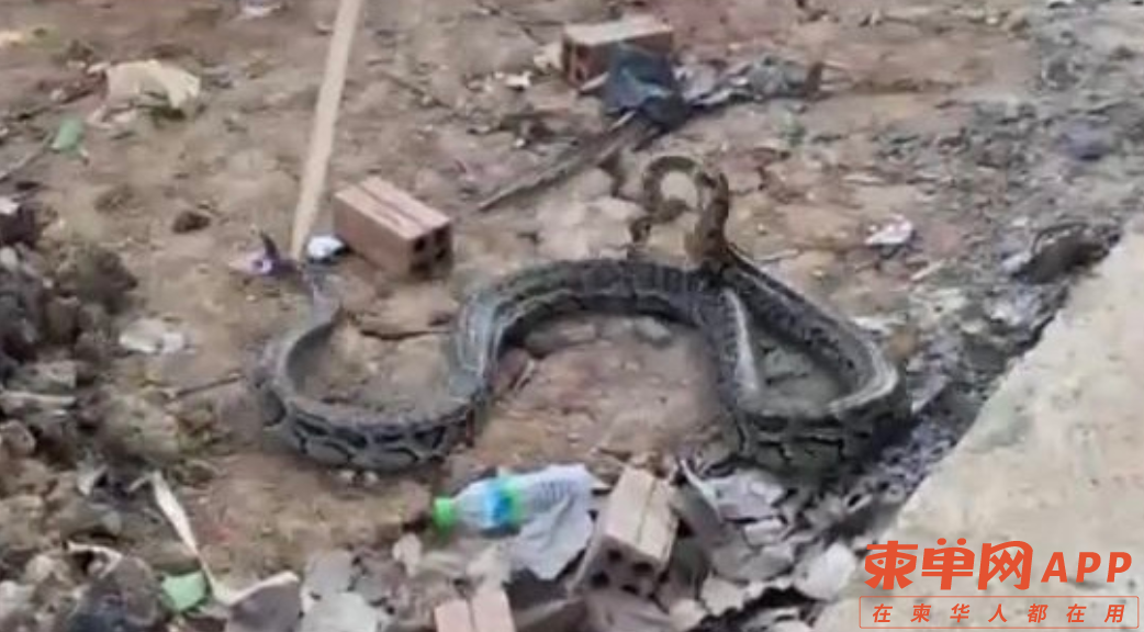 微信截图_20210302143157.png