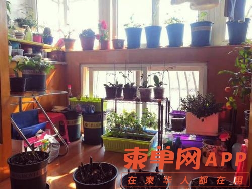 u=1045850775,1511729759&amp;fm=26&amp;gp=0.jpg