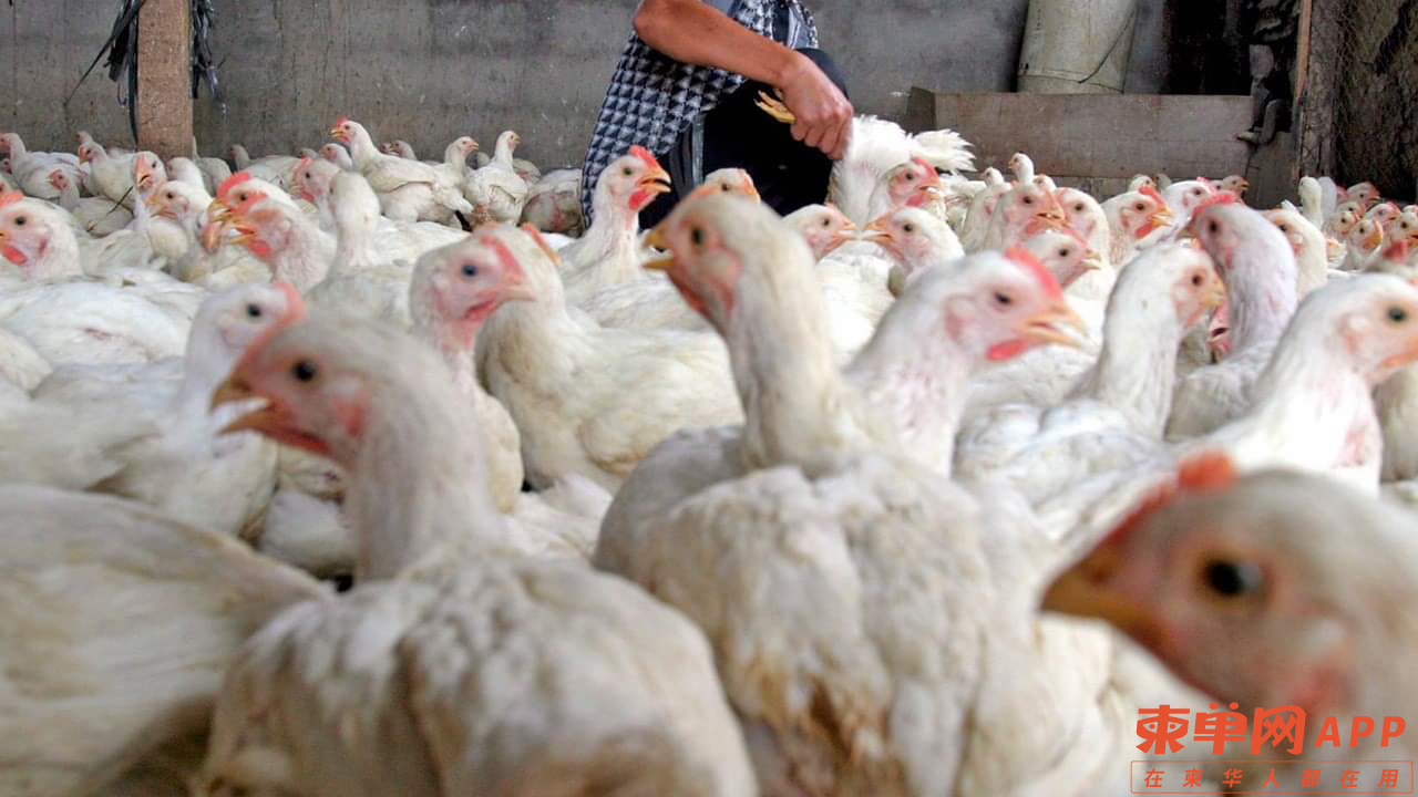 160153649_1091396431272281_734677168677524133_o (1).jpg