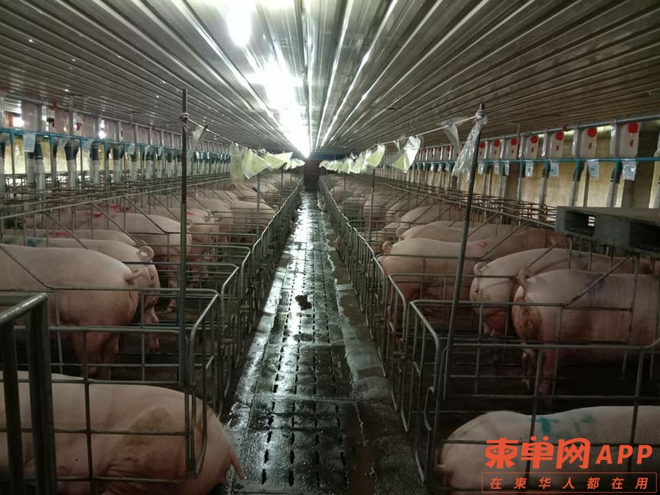 微信图片_20210325171000.jpg