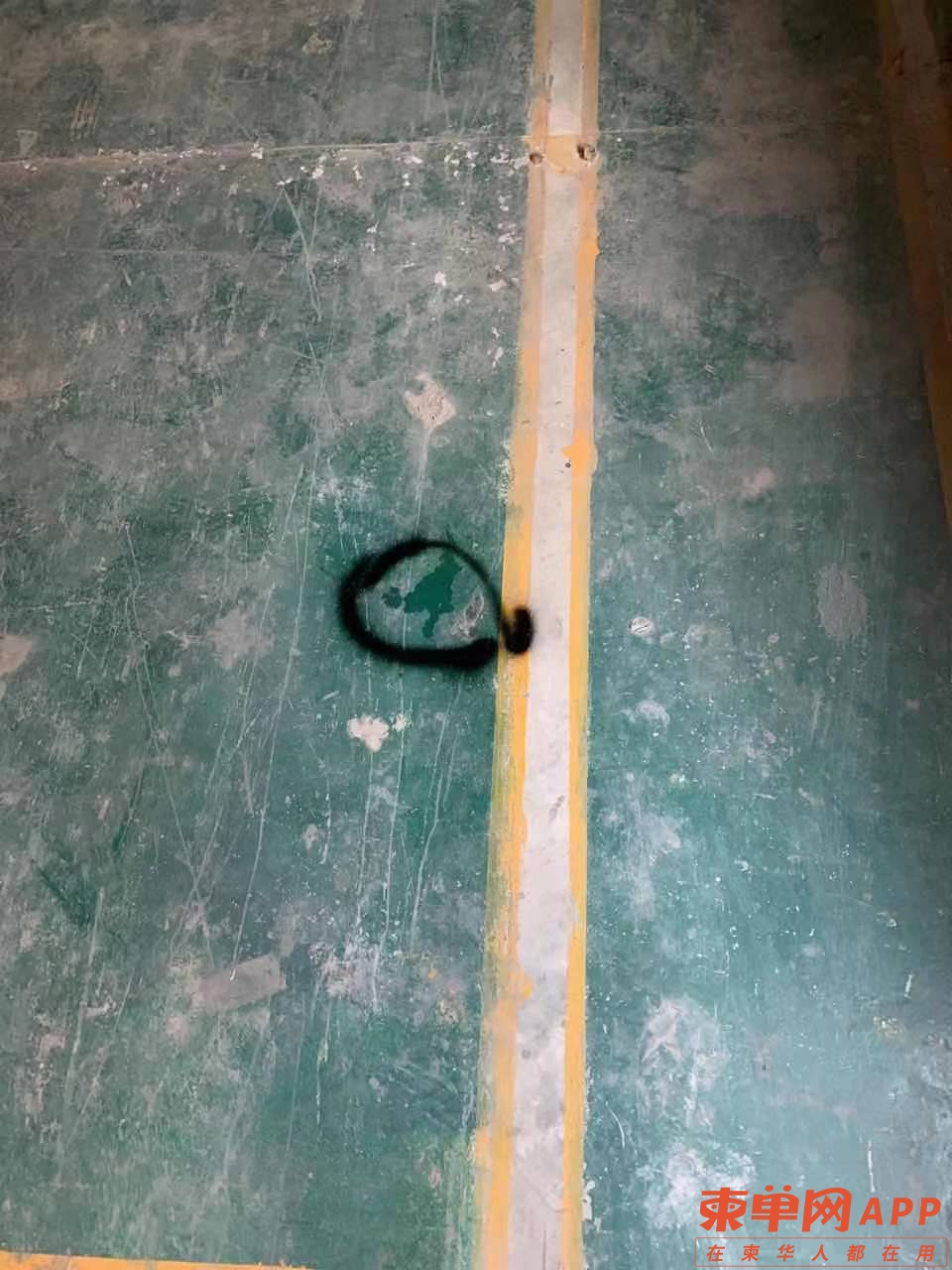 微信图片_20210409182339.jpg