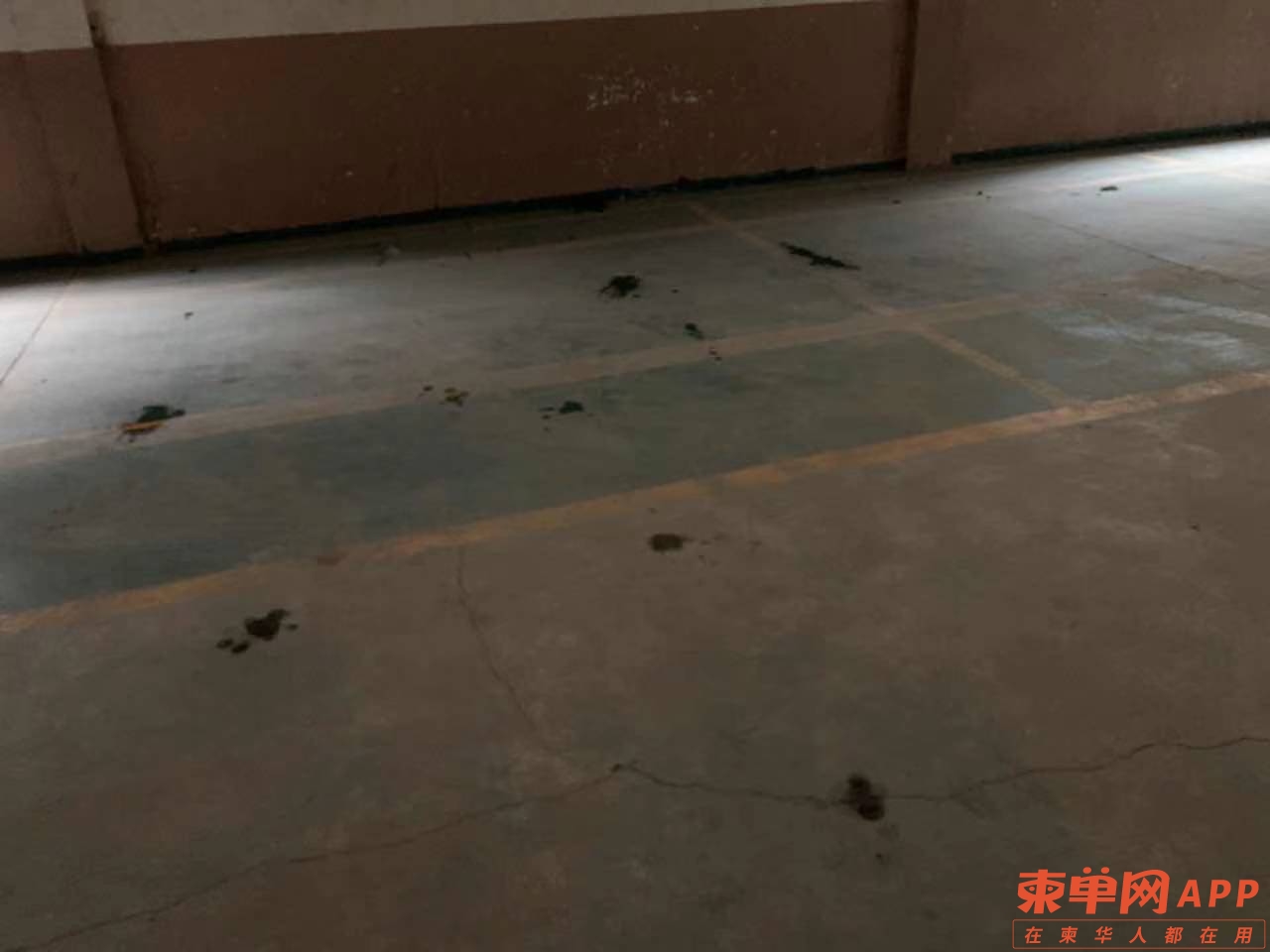 微信图片_20210409182324.jpg