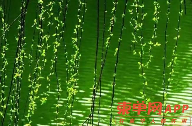 front2_0_FtBRNPTTCWtbtwQqnmRCRLdLzCRq.1618883538.jpg