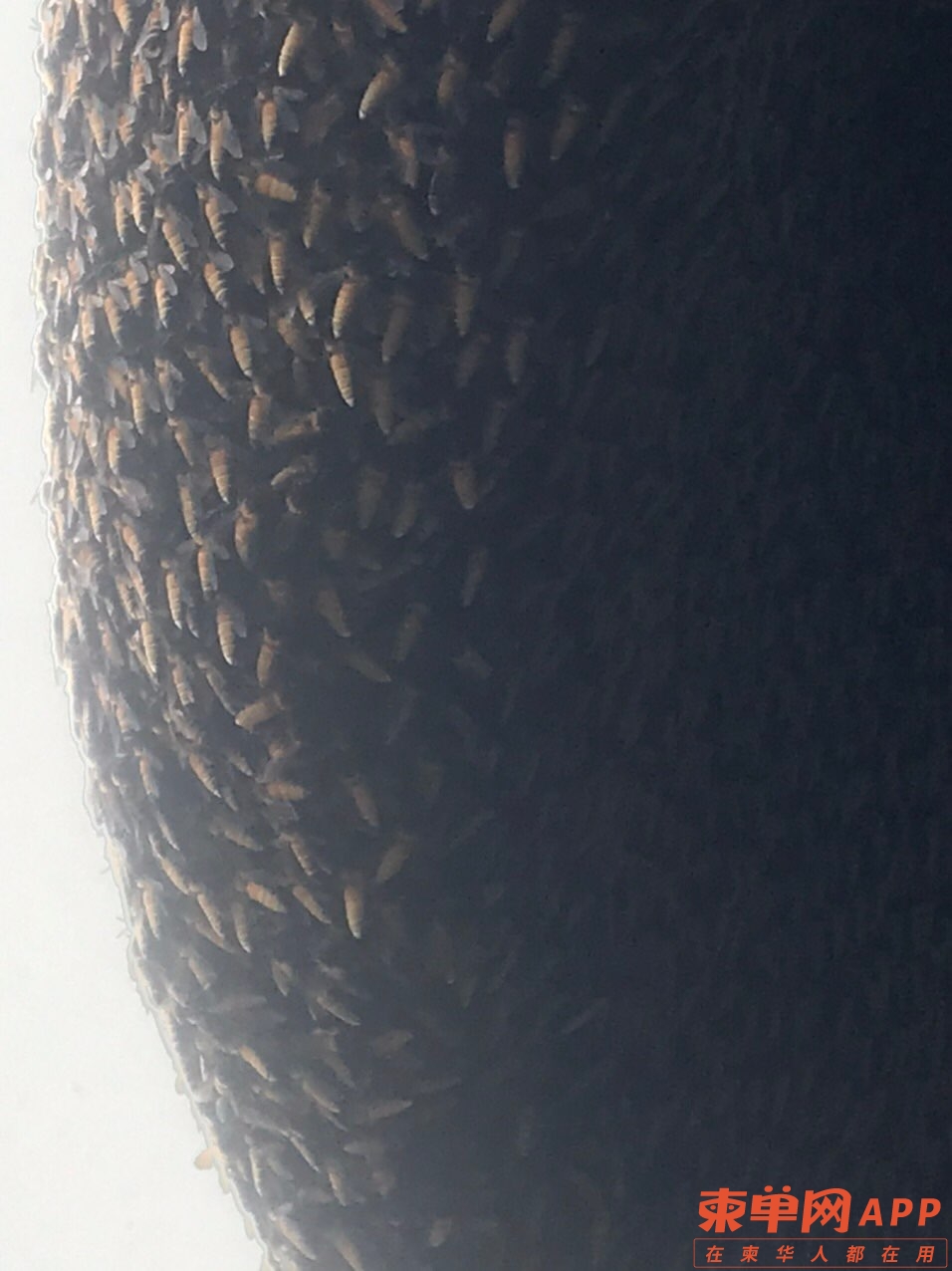 front1_0_FqXKPIAsbQvLUWL-ybrWXd1jQNwj.1619314888.jpg