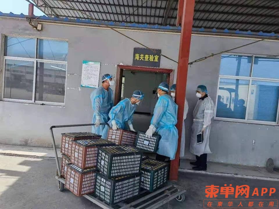 柬埔寨首批出口中国芒果顺利运抵广西-1.jpg