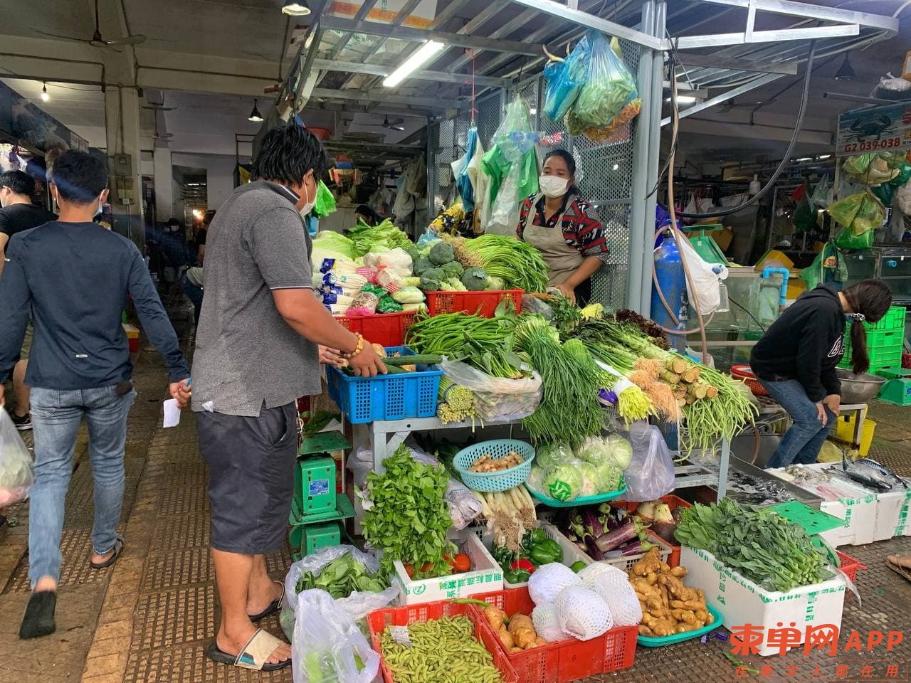 markeopenagin-5-rasmeinews.jpg