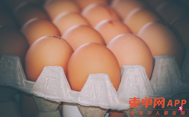 egg-4059957_1920.jpg