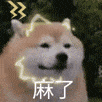 front1_0_FqASAKBsKdwMEji3VrTt2bU2Y3pa.1628758070.gif