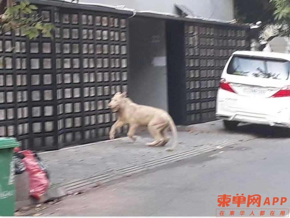 微信图片_20210817151645.jpg