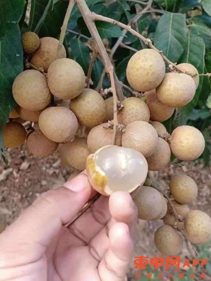 微信图片_20210819133943.jpg