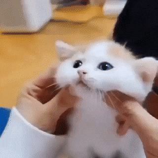 微信图片_20210919145036.gif