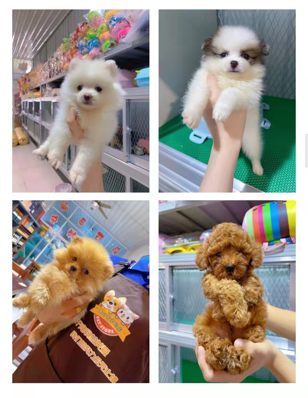 微信图片_20210919150336.jpg