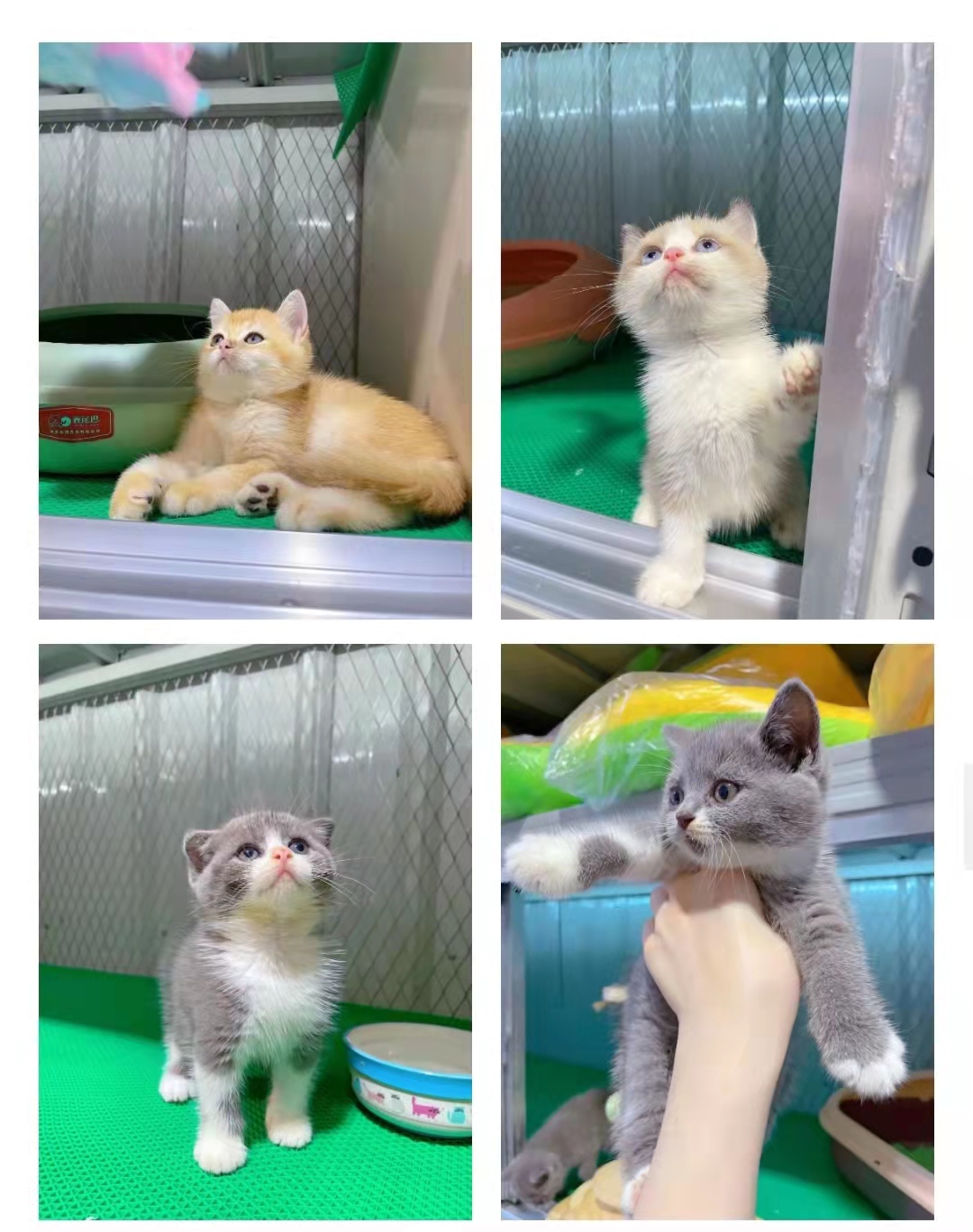 微信图片_20210919150906.jpg