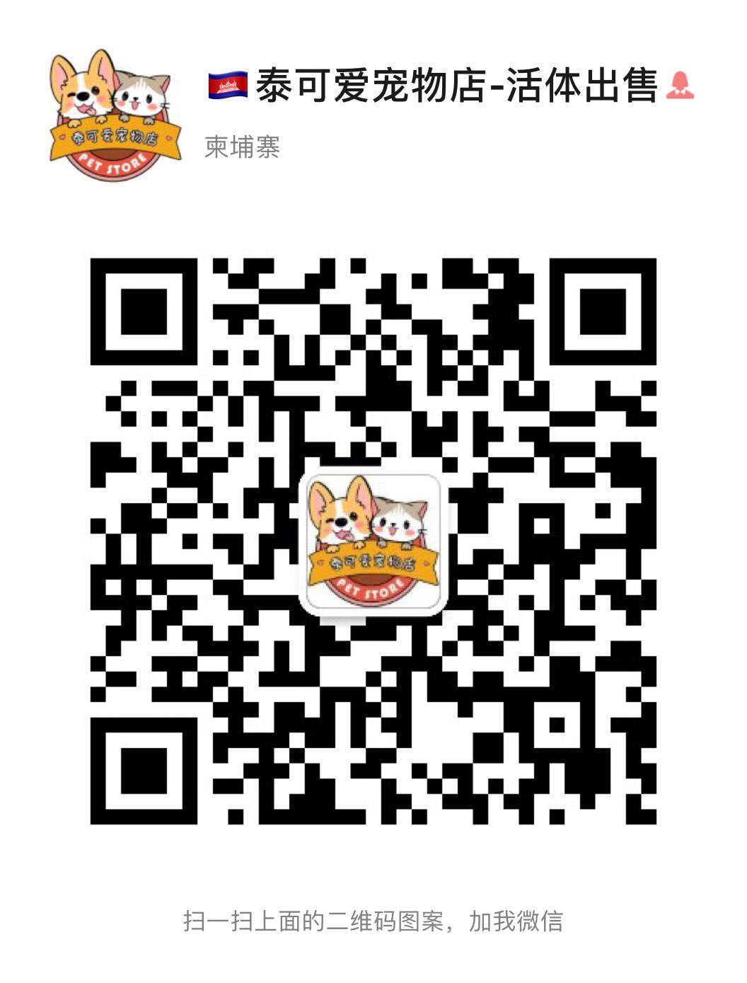 front1_0_Fkyu2psQbt4NSprecx0n5XfdlVt-.1632059539.jpg