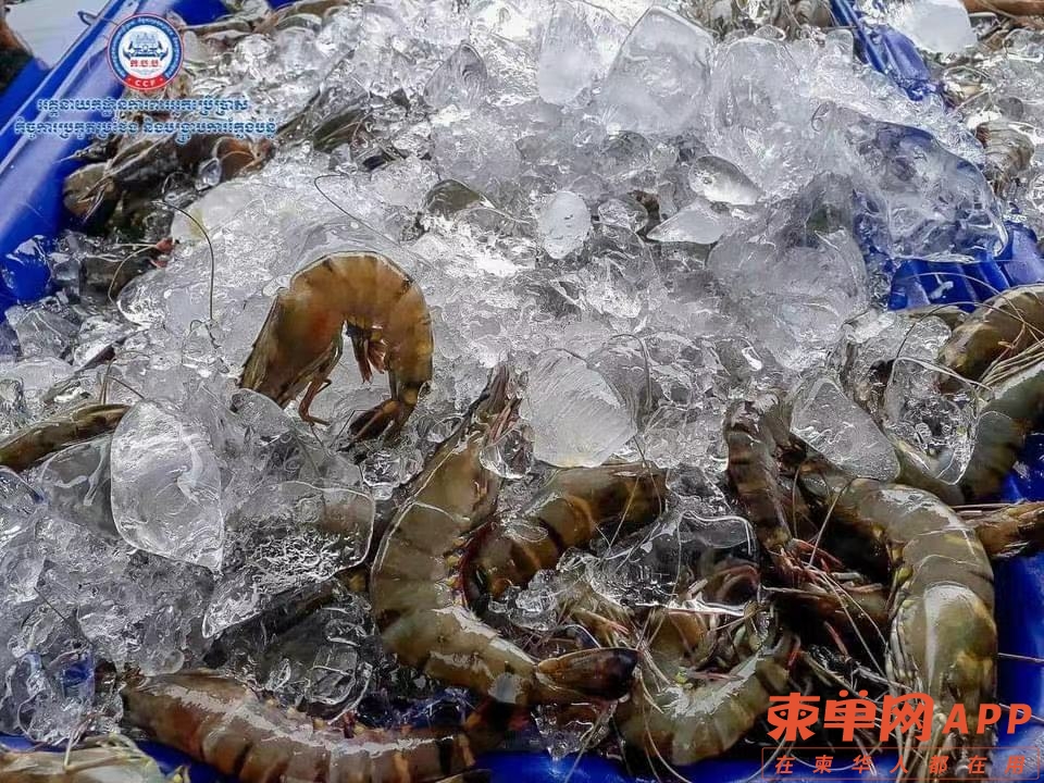 微信图片_20211014100548.jpg