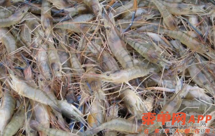 front1_0_340167_Fo-ZqxU6xqnLYrL-J9rUV32eit0m.1634199119_16_12_00.jpg