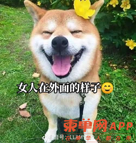 share_b2a0644656f91d93f68c9aee8cb867c8.png