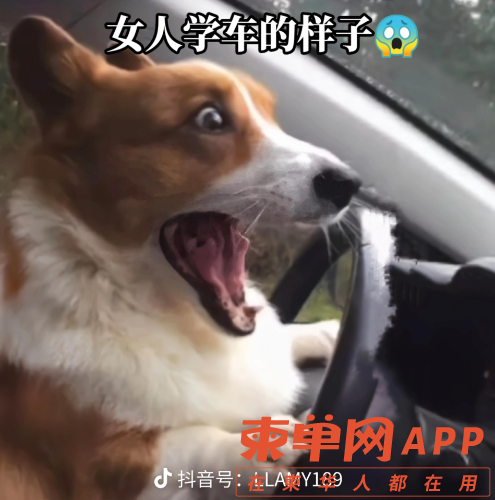 share_b7ff8c0e3238a571a0b3efb66e9faed2.png